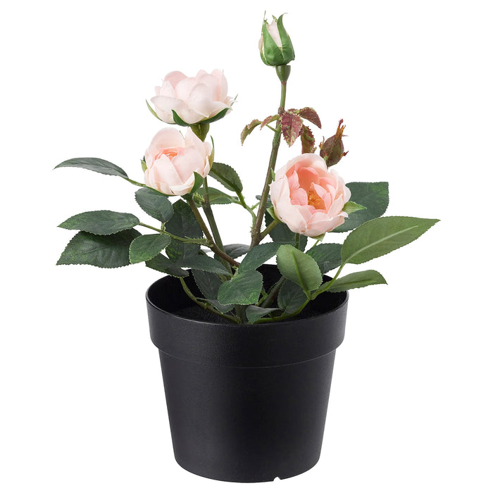 FEJKA artificial potted plant, in/outdoor/Rose pink, 9cm, 10395317