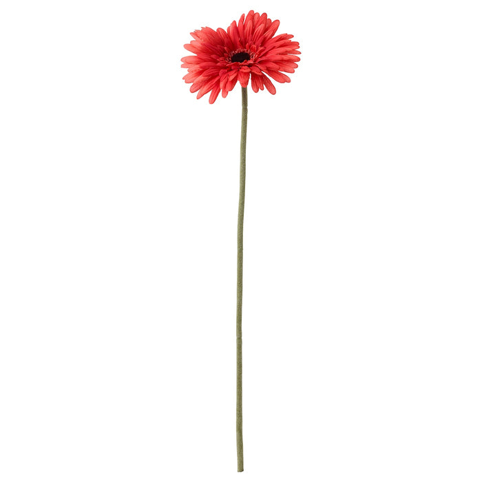 SMYCKA artificial flower, Gerbera/red, 50 cm, 30409752