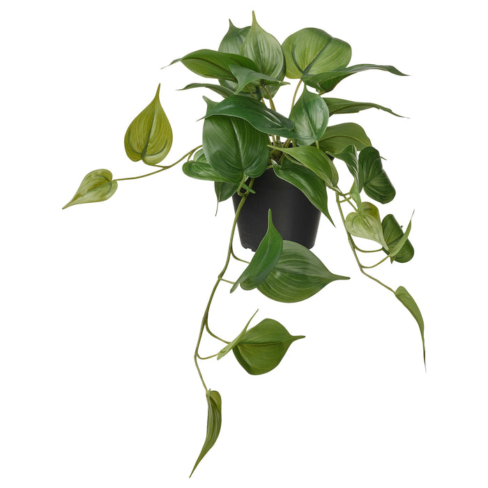 FEJKA artificial potted plant, 50578070