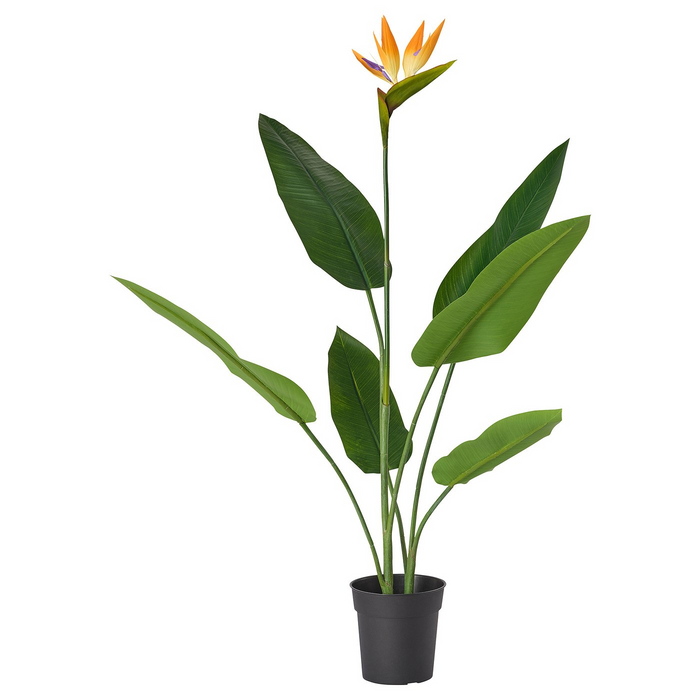 FEJKA artificial potted plant, in/outdoor Bird of paradise, 19 cm, 80593234