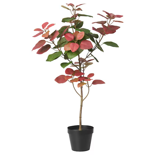 FEJKA Artificial potted plant, in/outdoor smoke tree, 80583522