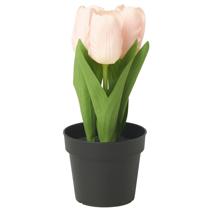 FEJKA Artificial potted plant, in/outdoor/tulip pink, 9 cm, 40571682