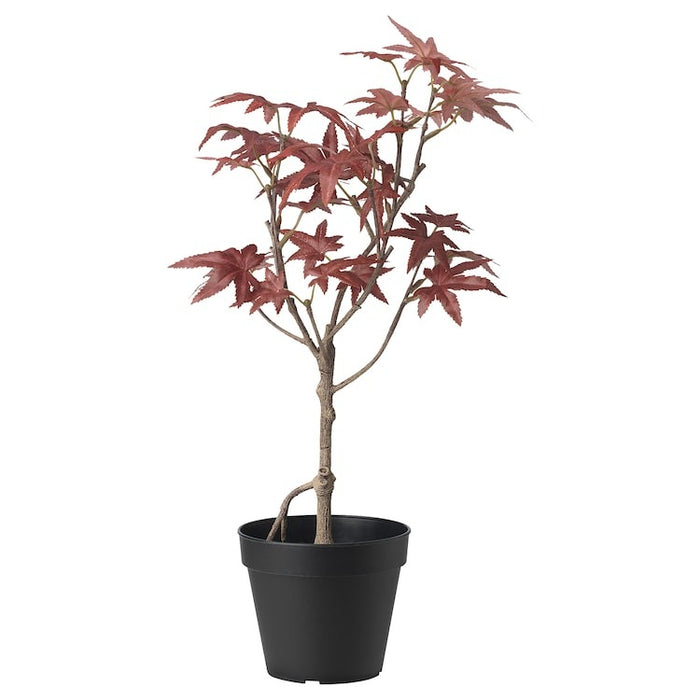 FEJKA Artificial potted plant, in/outdoor maple, 12 cm, 40559958