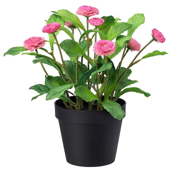 FEJKA Artificial potted plant, in/outdoor/Common daisy pink 12 cm, 10395341