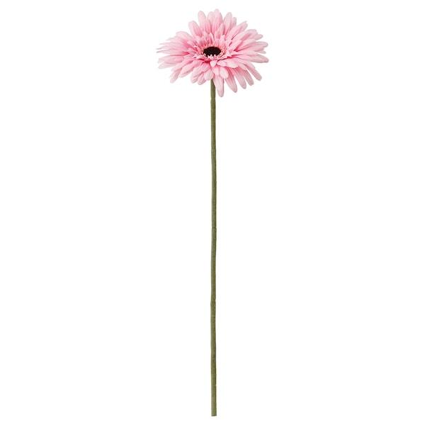 SMYCKA Artificial flower, Gerbera/pink 50 cm, 30409766