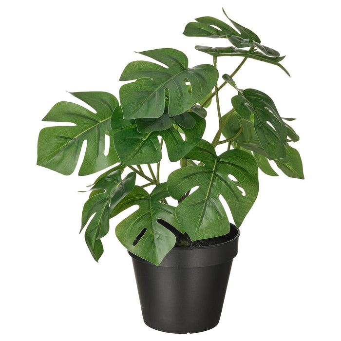 FEJKA Artificial potted plant, in/outdoor Monstera, 12 cm, 30493345