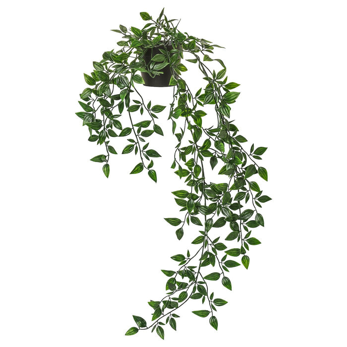 FEJKA Artificial potted plant, in/outdoor/hanging 9 cm, 40349545