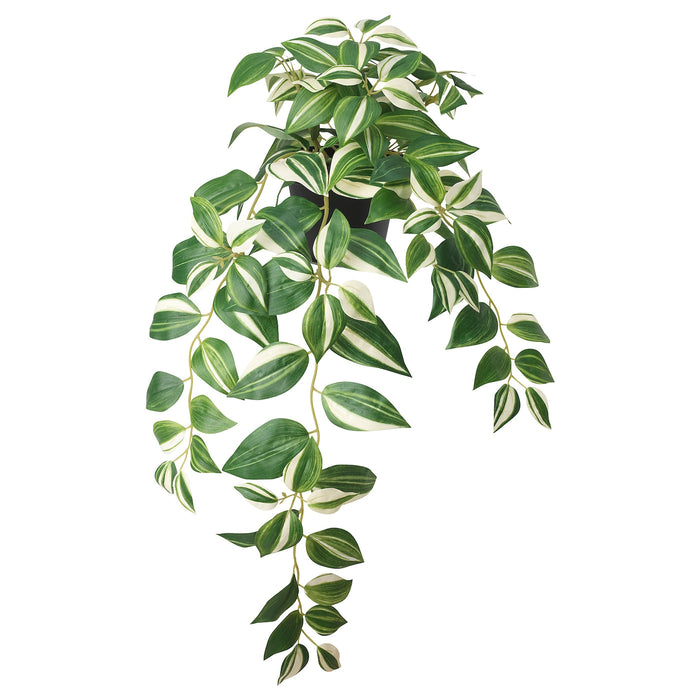FEJKA Artificial potted plant, in/outdoor/tradescantia zebrina, 12 cm, 40546579