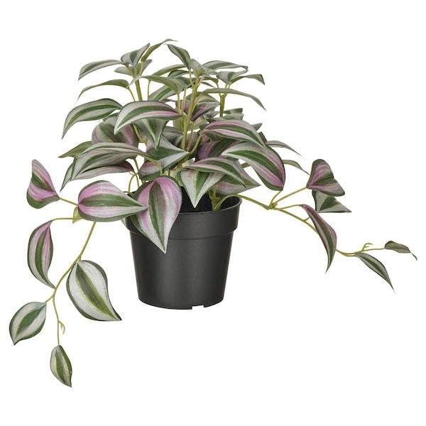 FEJKA Artificial potted plant, in/outdoor Spiderwort 9 cm, 50493368