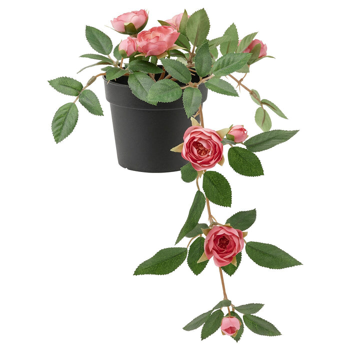 FEJKA Artificial potted plant, in/outdoor Rose/hanging pink, 9 cm, 60506493