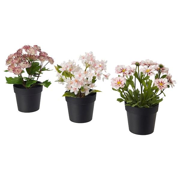 FEJKA Artificial potted plant, in/outdoor pink 9 cm 3 pieces, 80395328