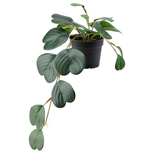 FEJKA Artificial potted plant, in/outdoor hanging/Peperomia 9 cm, 80468447