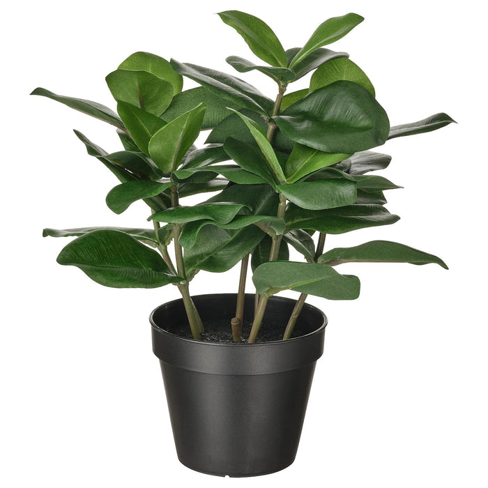 FEJKA Artificial potted plant, in/outdoor Clusia, 12 cm, 80493343