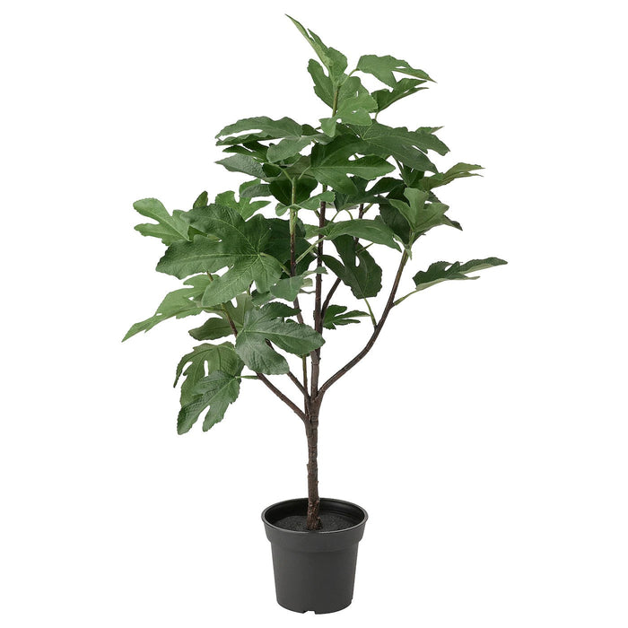 FEJKA Artificial potted plant, in/outdoor Fig, 15 cm, 80506487