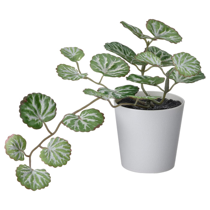 FEJKA Artificial potted plant with pot, in/outdoor white/green, 6 cm, 90537997