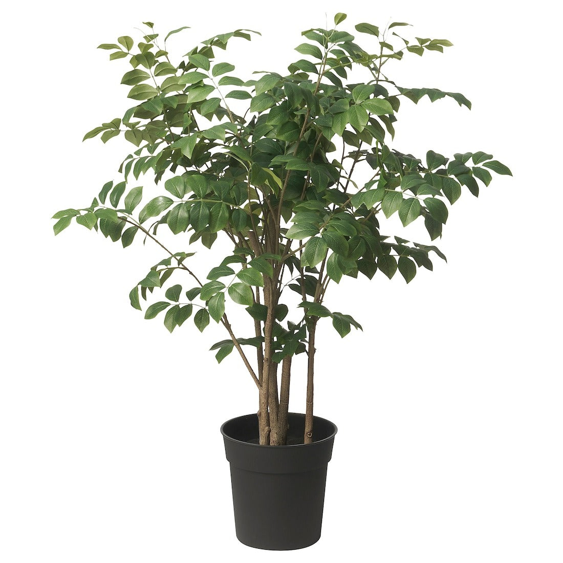 Artificial plants