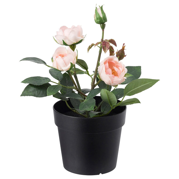 FEJKA artificial potted plant, in/outdoor/Rose pink, 9cm