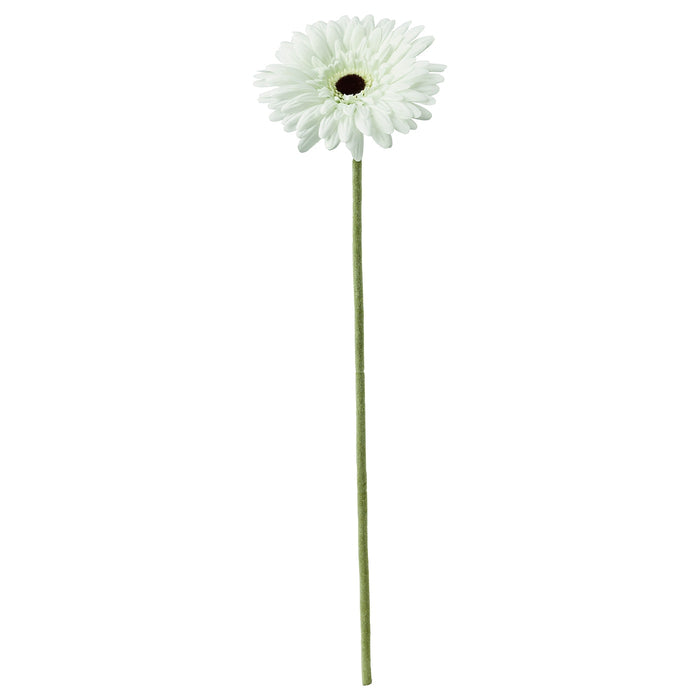 SMYCKA artificial flower, Gerbera/white, 50 cm