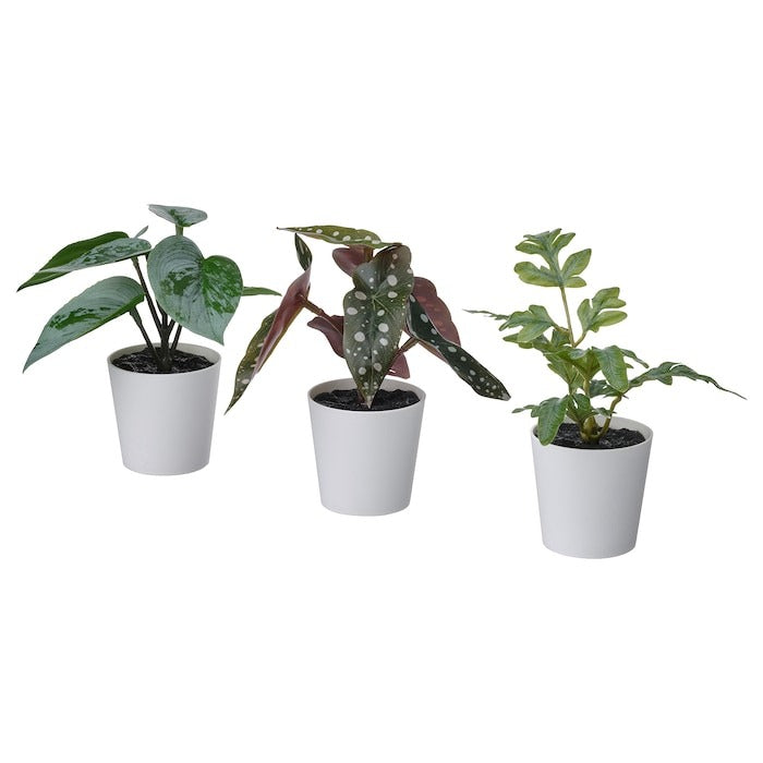 FEJKA Artifi potted plant w pot, set of 3, in/outdoor green, 6 cm