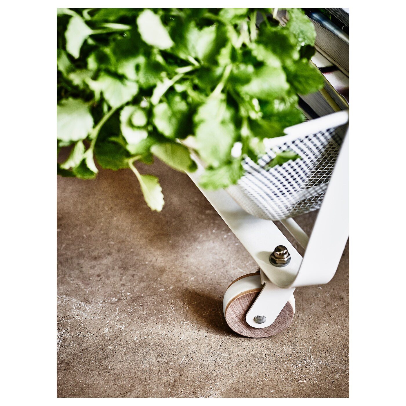Furnsmart Enterprise