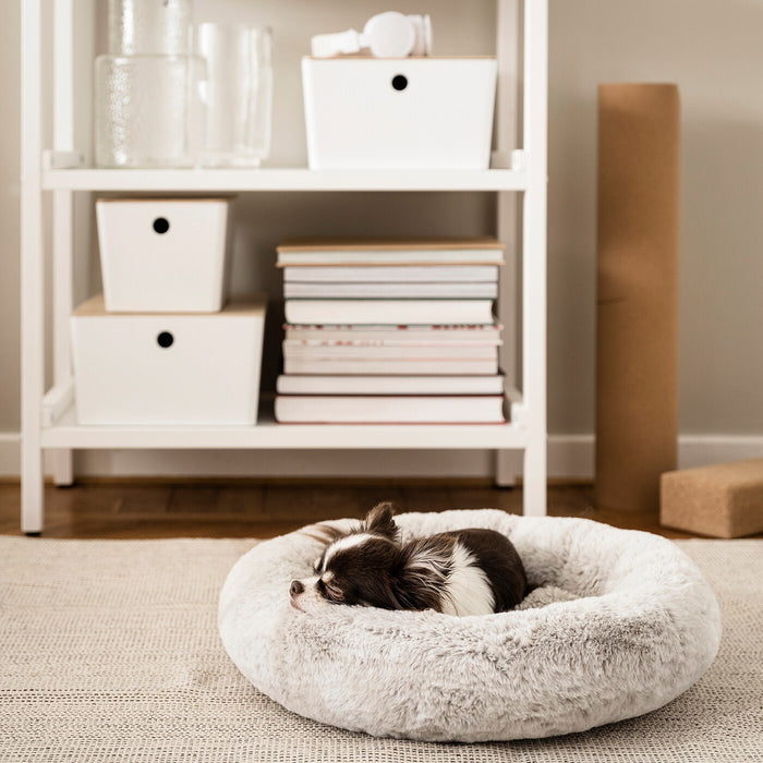 UTSADD pet bed, light grey, S