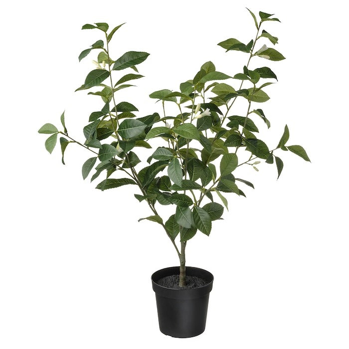 FEJKA Artificial potted plant, in/outdoor lemon, 15 cm