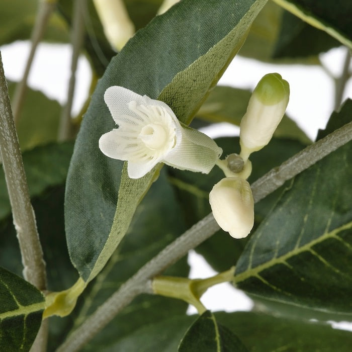 FEJKA Artificial potted plant, in/outdoor lemon, 15 cm