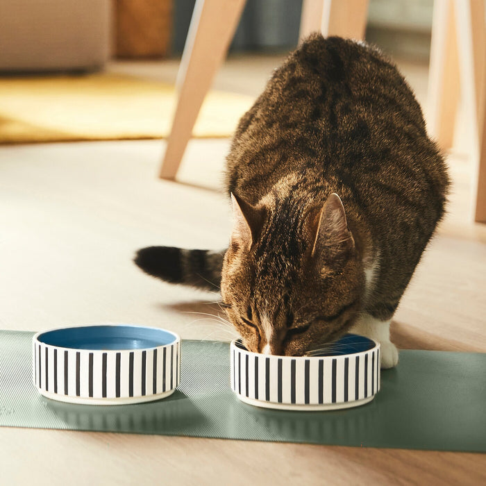 UTSADD pet bowl, stripe pattern black-blue/grey-blue, 11 cm