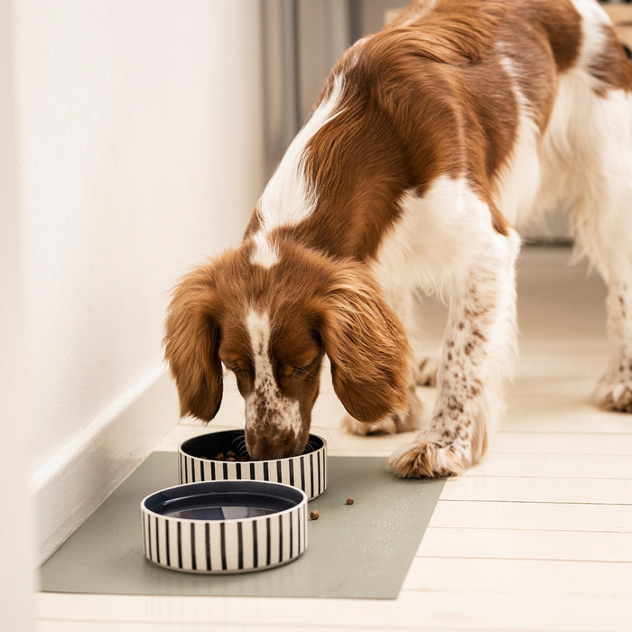 UTSADD pet bowl, stripe pattern black-blue/grey-blue, 11 cm