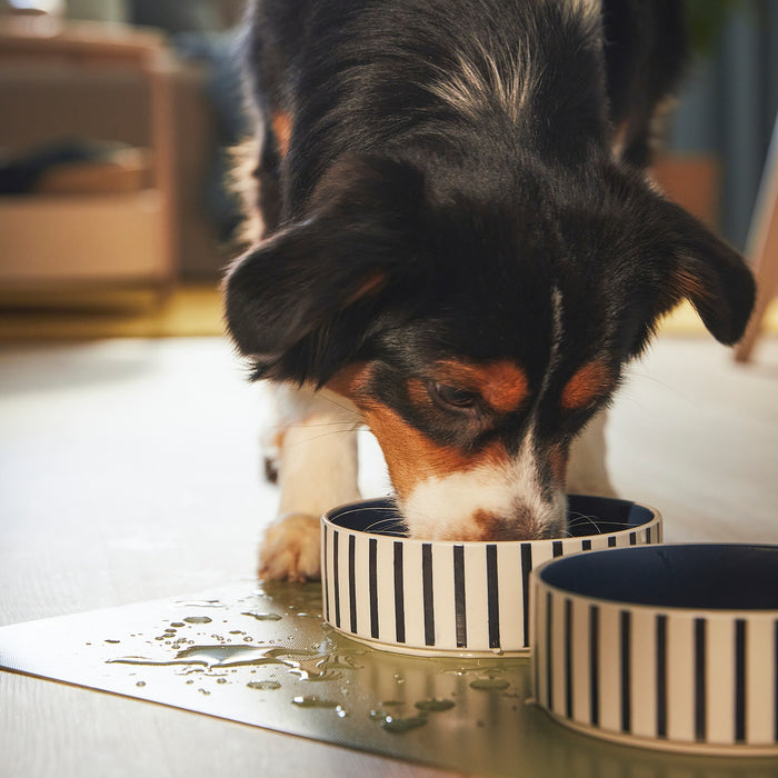 UTSADD place mat for food bowl, grey-green, 33x50 cm