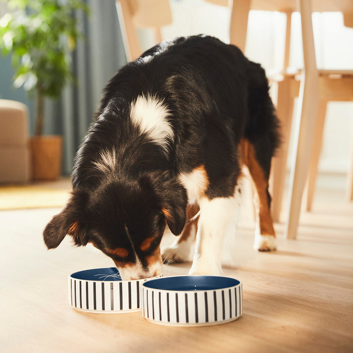 UTSADD pet bowl, stripe pattern black-blue/dark blue, 15 cm, 90569200