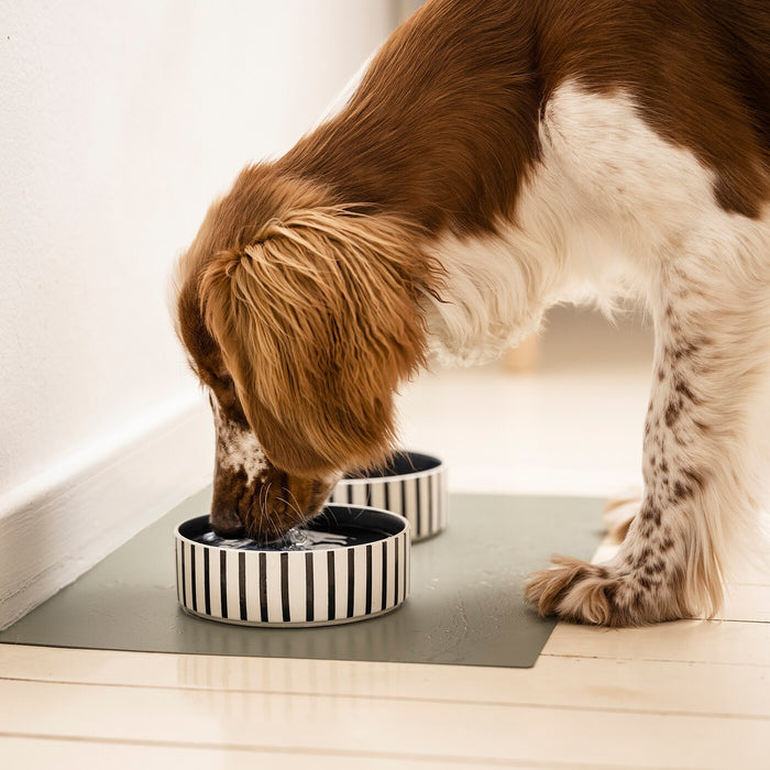 UTSADD pet bowl, stripe pattern black-blue/dark blue, 15 cm, 90569200