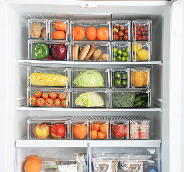 Fridge Food Container - Narrow Type, Clear, 10*30*10.5Cm 4589767209100