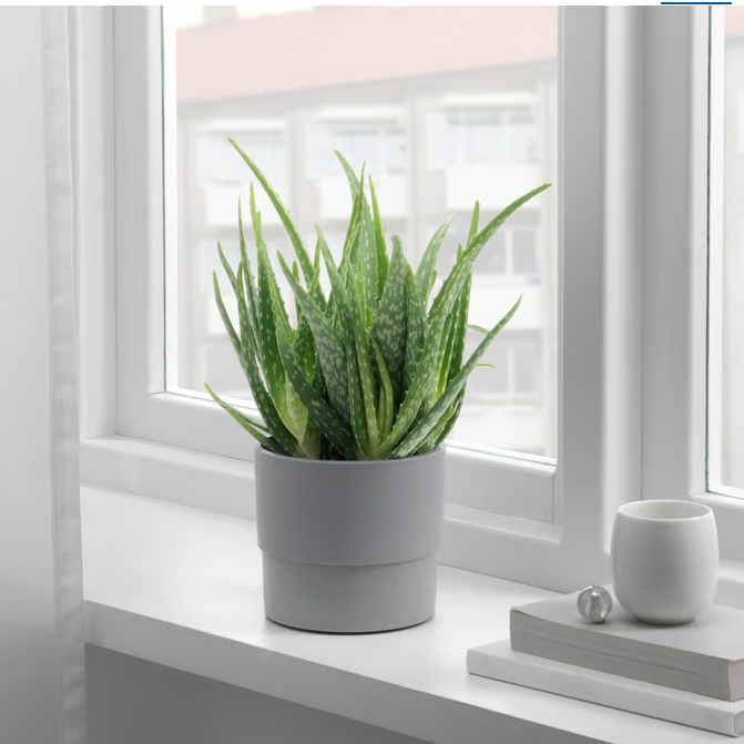 Furnsmart Enterprise