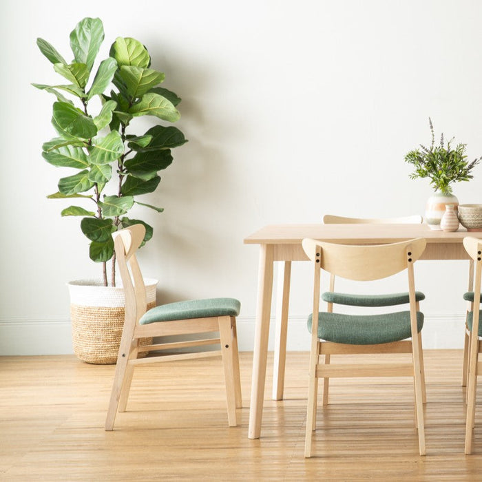 MACY Dining chair, white-wash/green, 44.5x50x77 cm, 241509