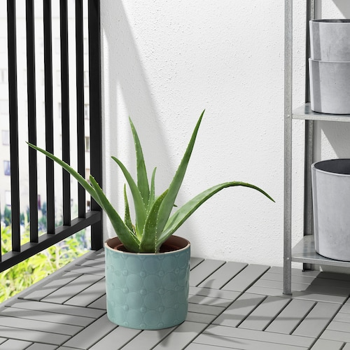 ALGERGRAN Plant pot, in/outdoor light green, 15 cm, 50576491