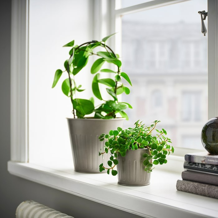 Furnsmart Enterprise
