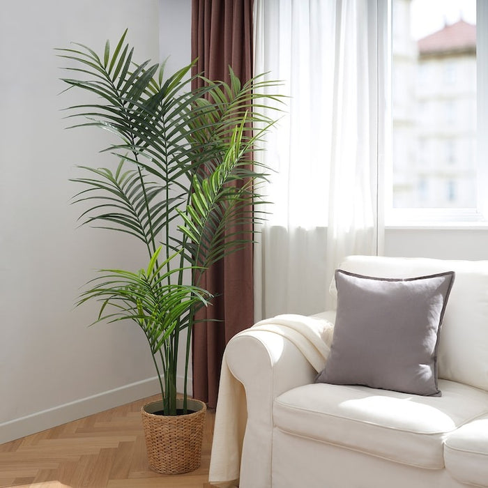 FEJKA Artificial potted plant, in/outdoor Kentia palm, 23 cm