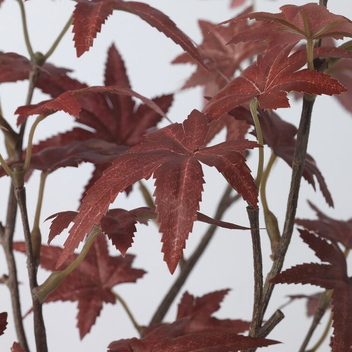 FEJKA Artificial potted plant, in/outdoor maple, 12 cm