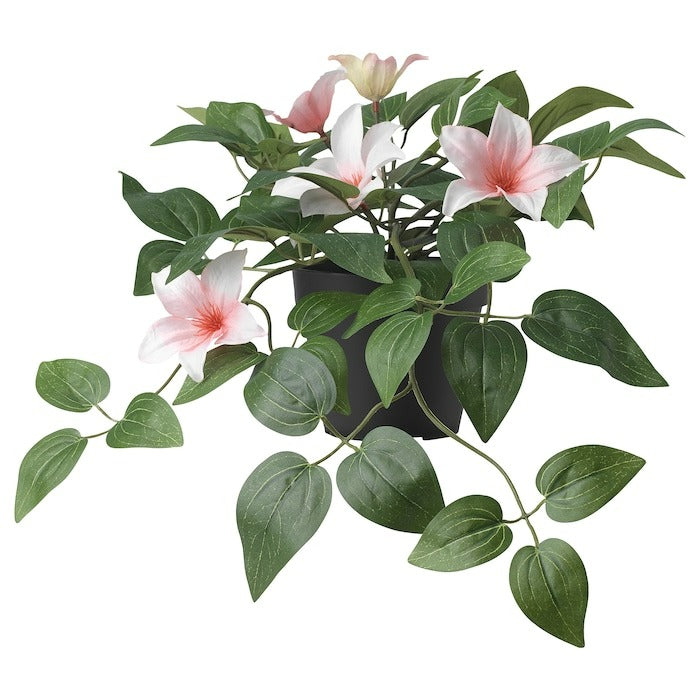 FEJKA Artificial potted plant, in/outdoor clematis/hanging pink, 12 cm