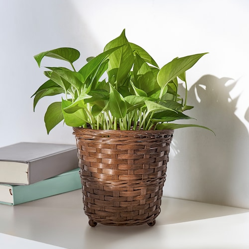 Furnsmart Enterprise