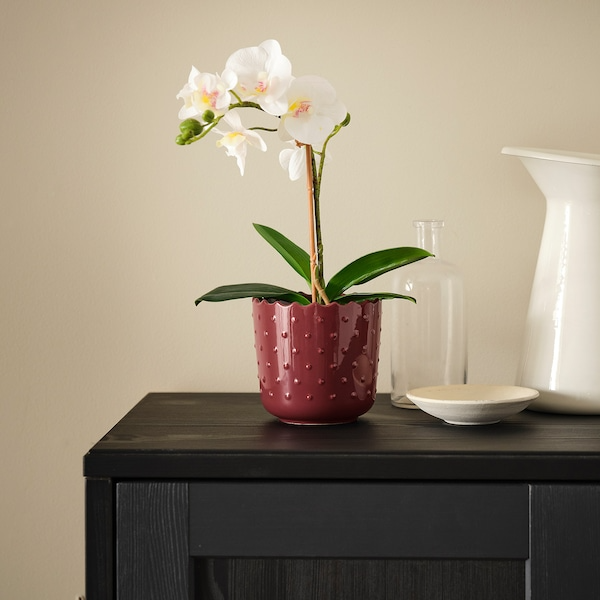 Furnsmart Enterprise