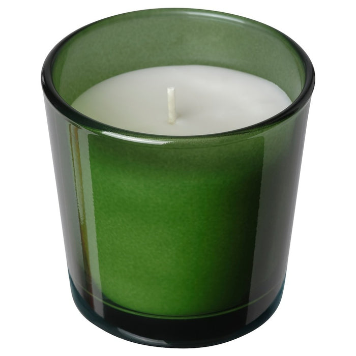 VINTERFINT Scented candle in glass, Spiced delight green, 25 hr