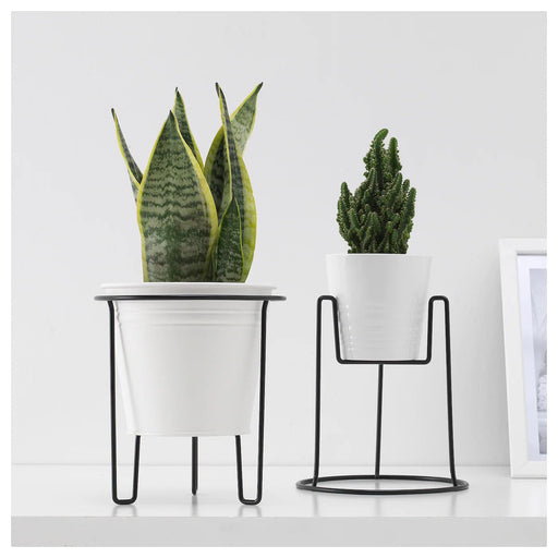 KAKTUSFIKON Plant pot, rattan, 9 ½ - IKEA