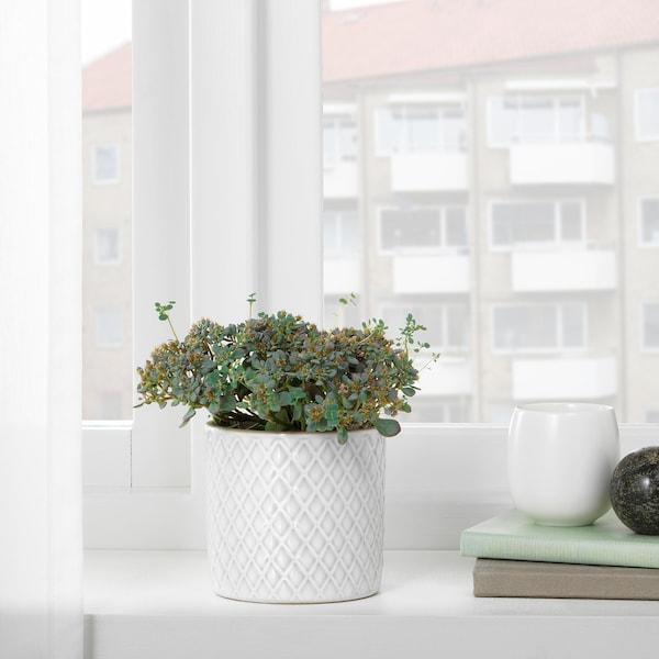 CHIAFRON Plant pot, white 9 cm