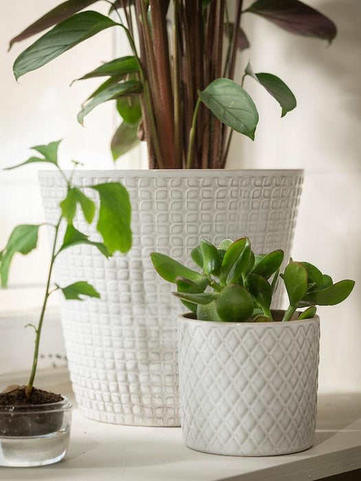 CHIAFRON Plant pot, white 9 cm