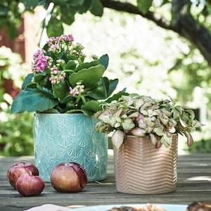 CHIAFRON Plant pot, in/outdoor light pink 9 cm