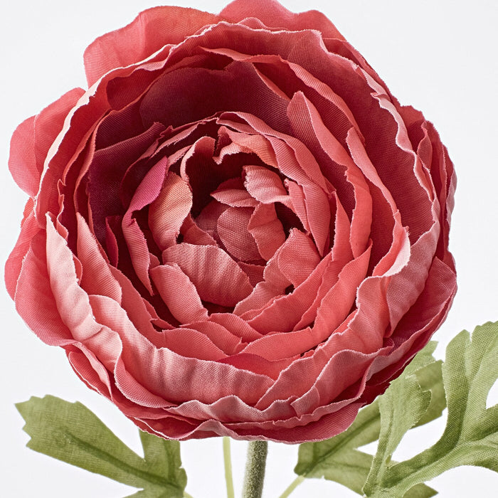 SMYCKA Artificial flower, Ranunculus/dark pink, 52 cm