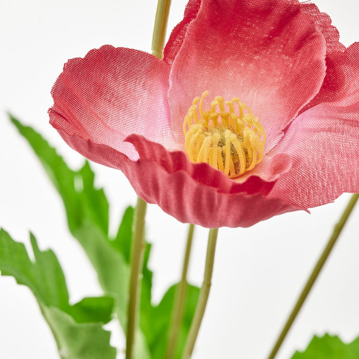 SMYCKA Artificial flower, in/outdoor/Poppy pink-red, 60 cm