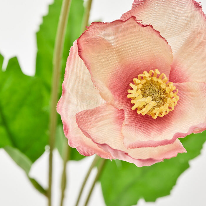 SMYCKA Artificial flower, in/outdoor/Poppy orange-pink, 60 cm